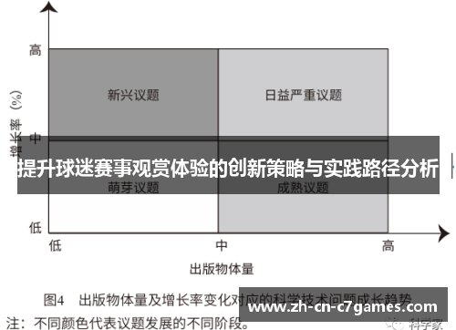 提升球迷赛事观赏体验的创新策略与实践路径分析