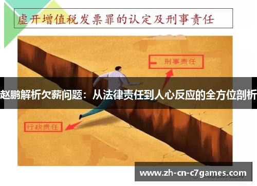 赵鹏解析欠薪问题：从法律责任到人心反应的全方位剖析