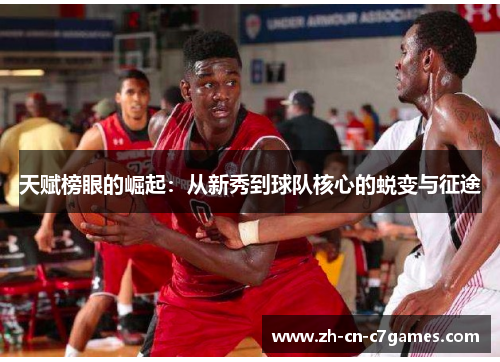 天赋榜眼的崛起：从新秀到球队核心的蜕变与征途